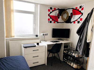 Picture 28